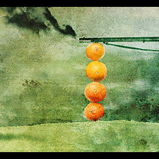A Fruitful Execution, 2007 Limited edition canvas print (signed) 200 x 90 cm